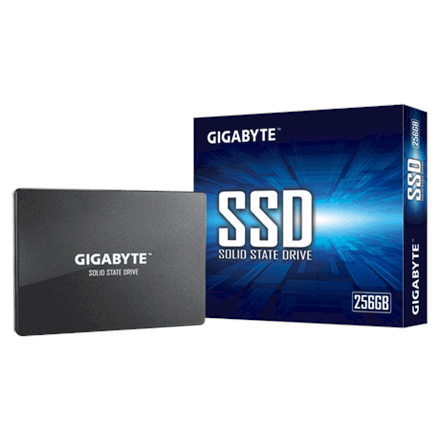 Gigabyte | GP-GSTFS31256GTND | 256 GB | Solid-state drive interface SATA | Read speed 520 MB/s | Write speed 500 MB/s - Image 2