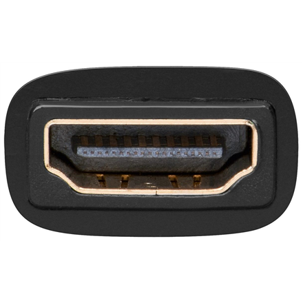 Goobay | HDMI/DVI-I adapter, gold-plated | 68690 | Black | HDMI female (Type A) | DVI-I female Dual-Link (24+5 pin) - Image 4