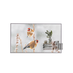 LG | Digital Signage | 55EW5P | 55 " | Landscape/Portrait | 18/7 | webOS | Transparent | 600 cd/m² | 8 ms | 178 ° | 178 °